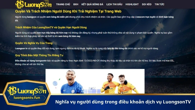 nghĩa vụ người dùng trong điều khoản dịch vụ LuongsonTV