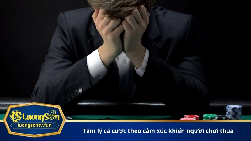 tâm lý cá cược theo cảm xúc khiến người chơi thua
